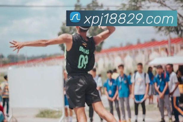 奖项证书